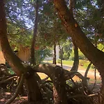 Bed & Breakfast Domaine Le Berdoy