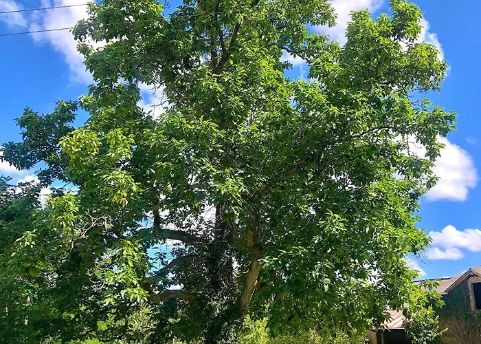 Domaine Le Berdoy * Montesquiou