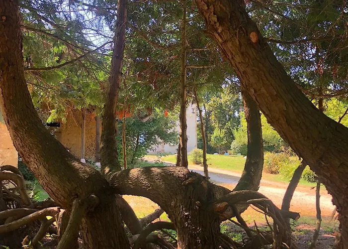 Frühstückspension Domaine Le Berdoy